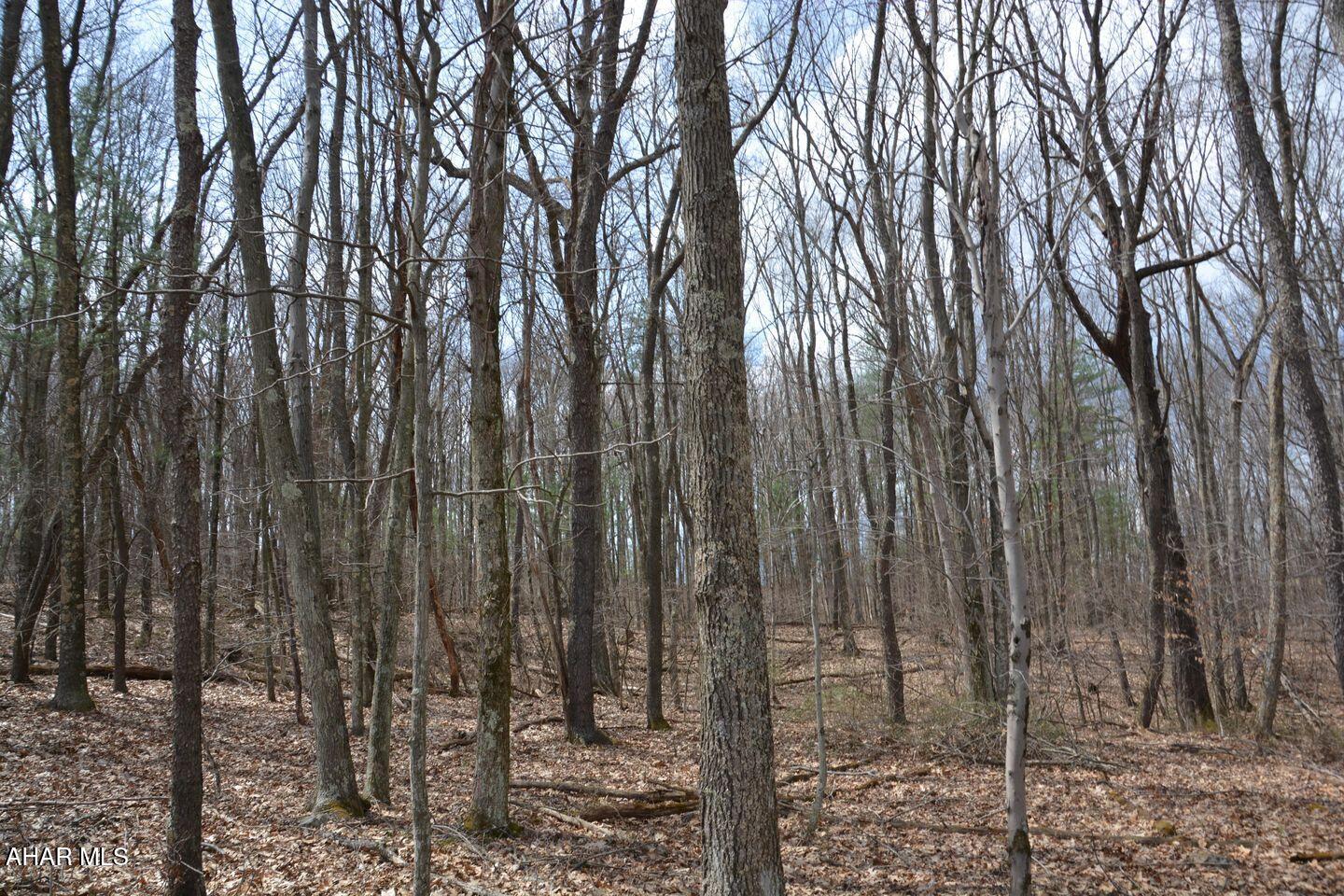 Other - Commercial Sale