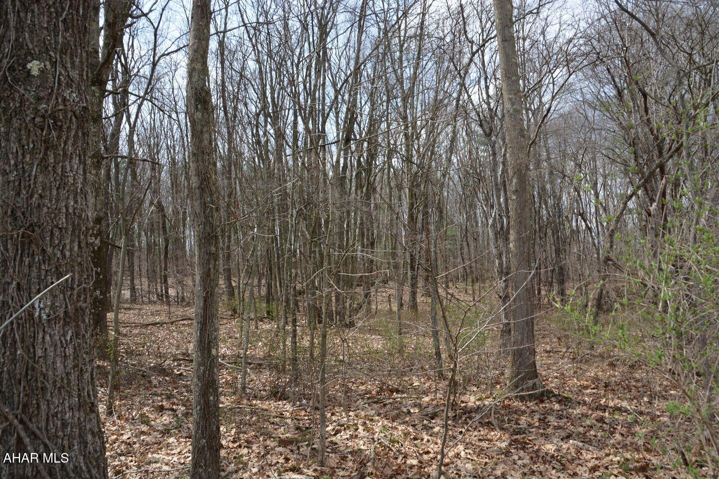 Other - Commercial Sale