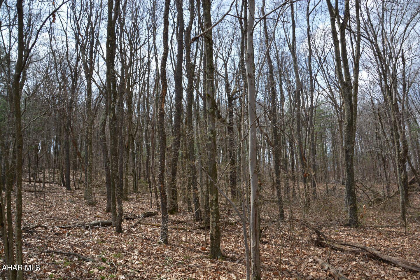 Other - Commercial Sale