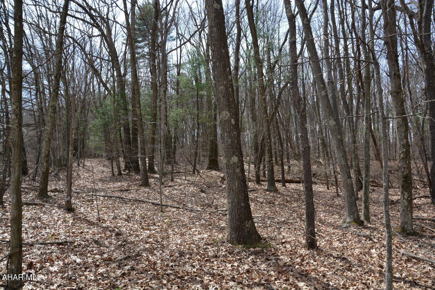 Other - Commercial Sale