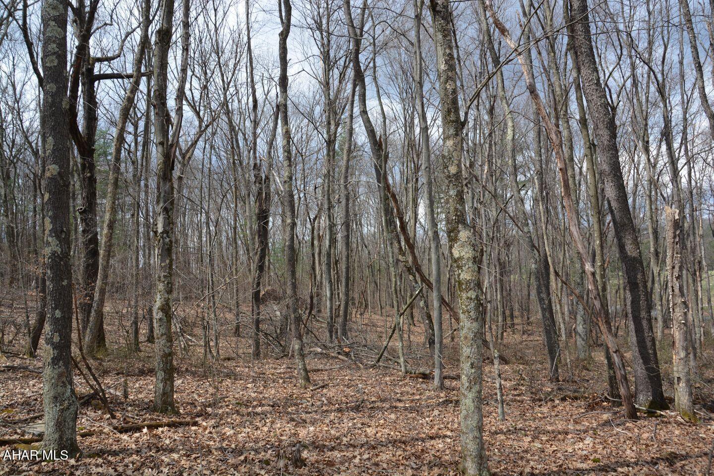 Other - Commercial Sale