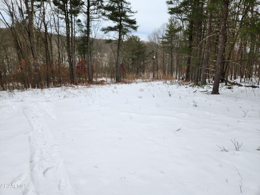 Are you looking for a nice piece of land to build your dream home or a weekend getaway?  Come take a look at this semi-secluded gem.  Located just minutes from Bedford, the PA Turnpike and Shawnee State Park, this little piece of paradise may be just for you!  It already has a building site cleared and a well drilled.  Add a septic system and the home of your choice to make it yours.  Electricity is already run to a pole on the property.