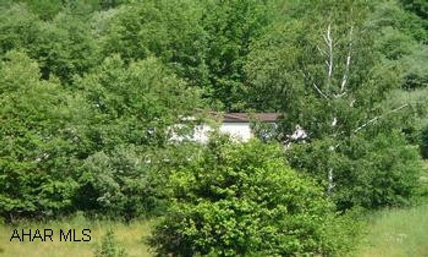 DOUBLEWIDE ON FULL FOUNDATION.  NEEDS WORK.  GREAT VIEW.  NICE ONE ACRE BUILDING LOT.  DEEDED RIGHT OF WAY.