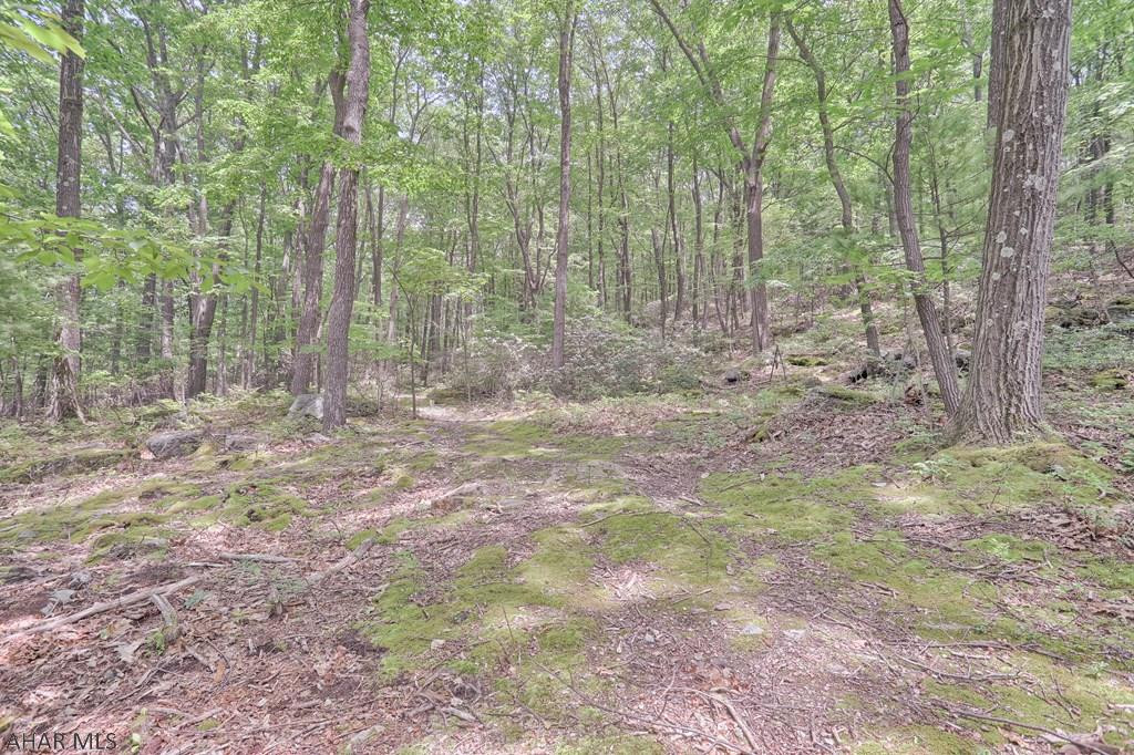 Homers Gap - Residential