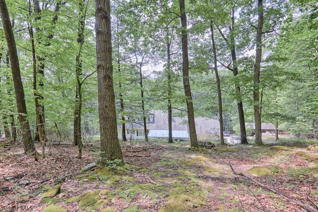 Homers Gap - Residential