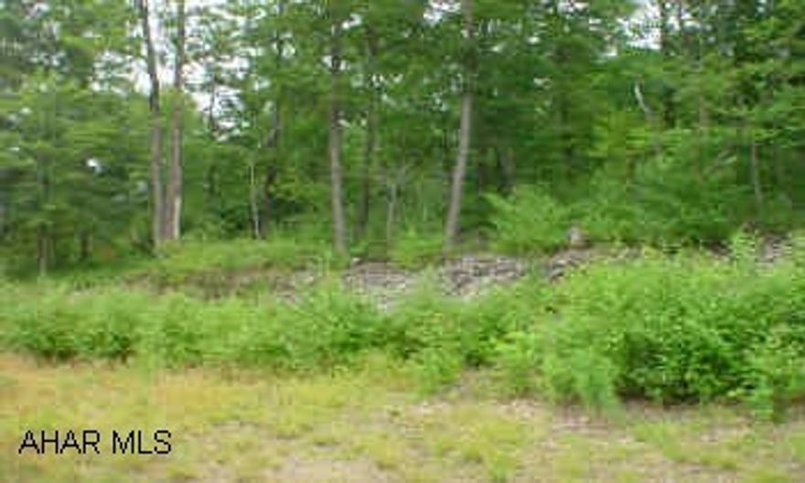 51+ acres in Hollidaysburg. Subdivision started, 10 parcels have been perk approved.