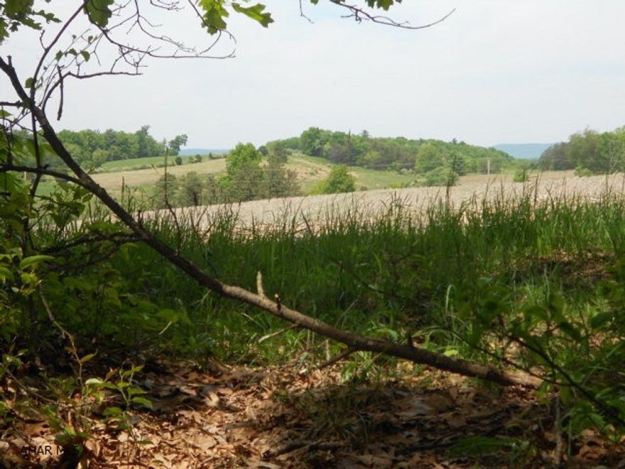 Great piece of hunting ground or just as recreation. Lots of wildlife, stream, pines and right-of-way to the property. Small 0.13 ac piece is along the road and remainder of acreage is up the hill. So much potential.