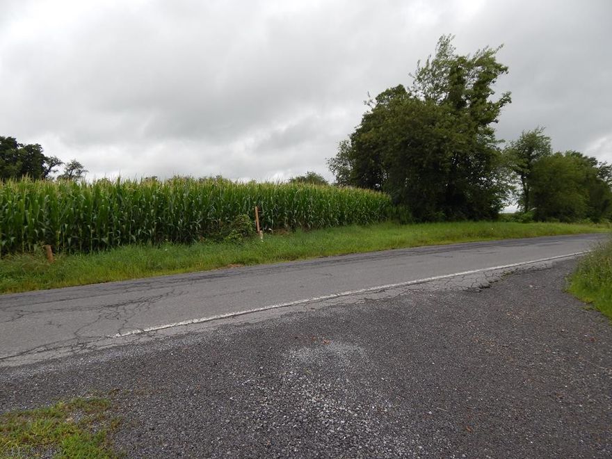 Approximately 1.25 acres of land with many possibilities! This property is the perfect location to build your dream home or use for farming. Nice secluded lot along Cranberry Rd. with abundant wildlife. Survey available upon request. Has never had perk test done. Contact listing agent for more details.