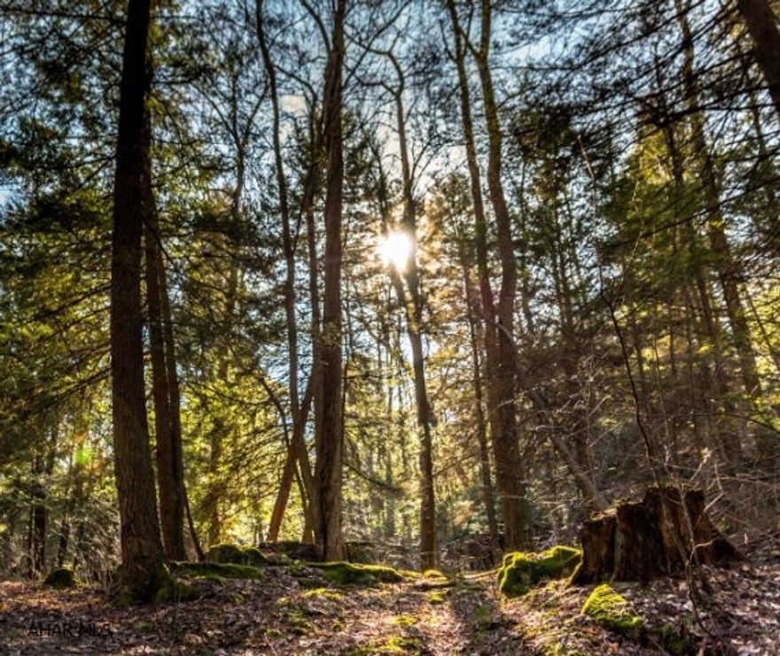 Perfect acreage for a house, recreational, or hunting!