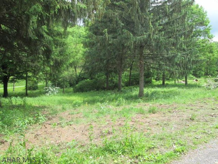 Nice parcel of land in East Freedom! There was a house on the property, but the house was razed. House was located on gravel lane before being razed. Could be a great building lot for a new home.
