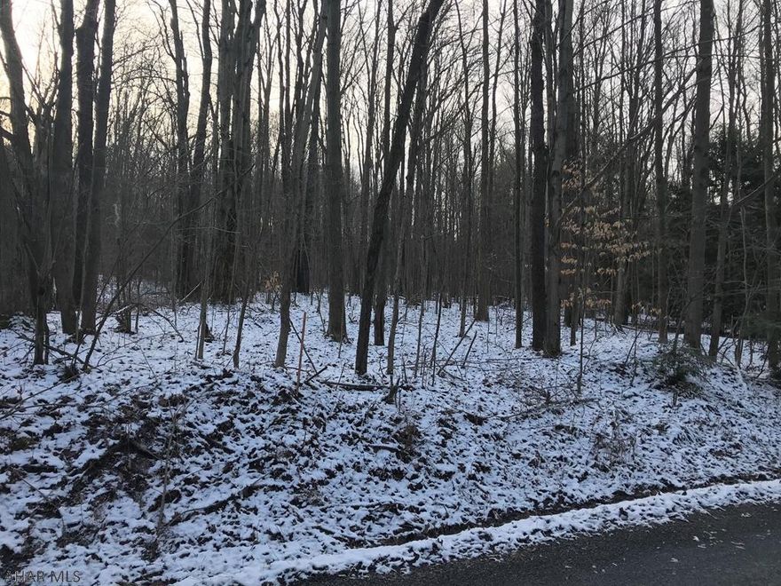 Wooded tract. No perc done.