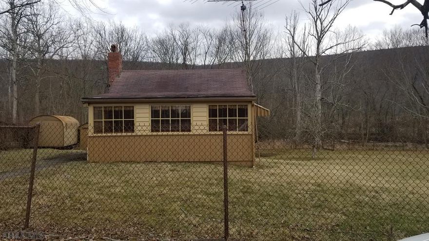 Enjoy river side living in this cozy cottage.  The spacious yard is perfect for summertime entertaining.  Just steps away from the Juniata River that is stocked with trout throughout the year. This home is any fisherman's perfect getaway.