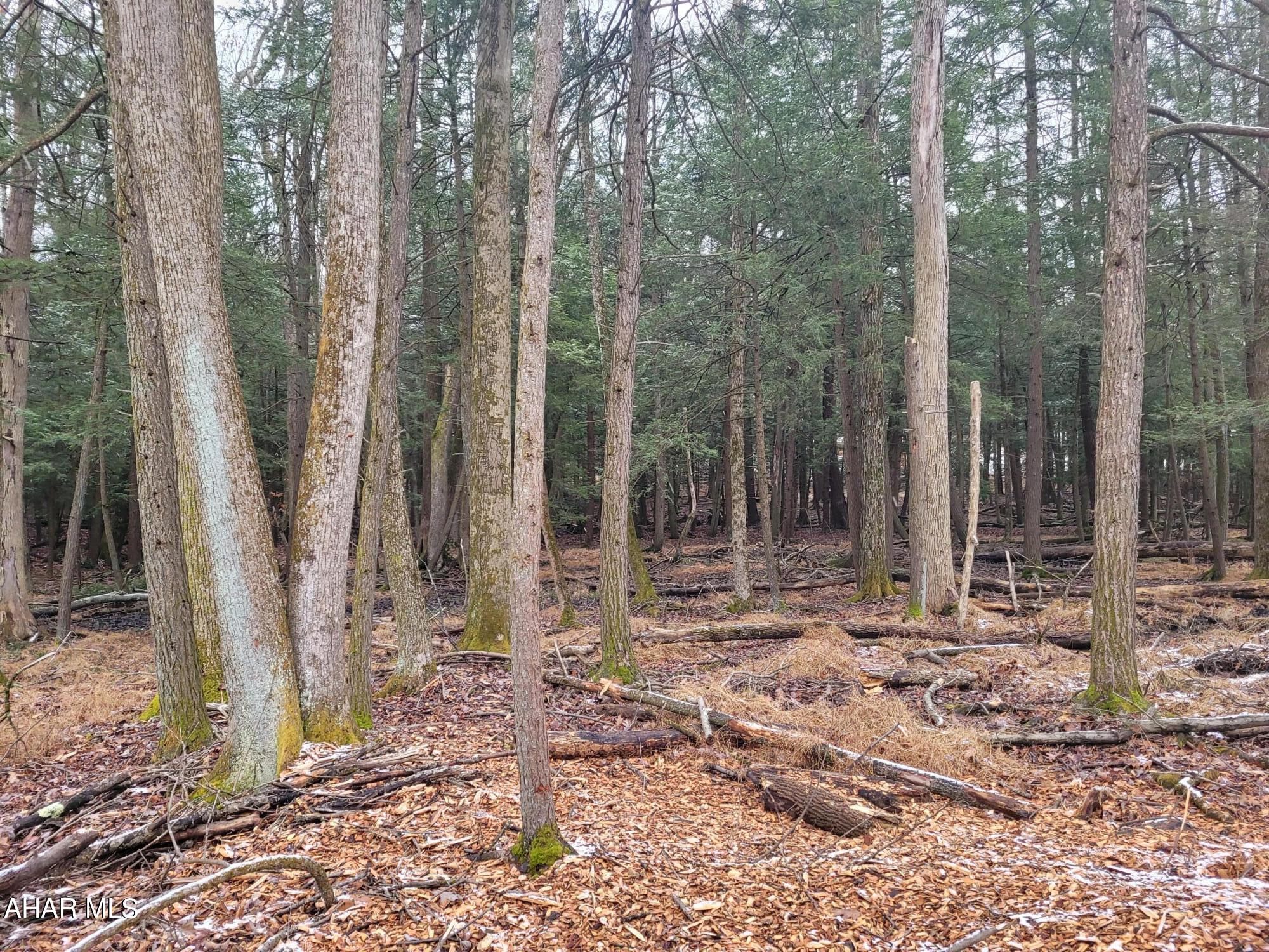 Glendale Yearound - Residential