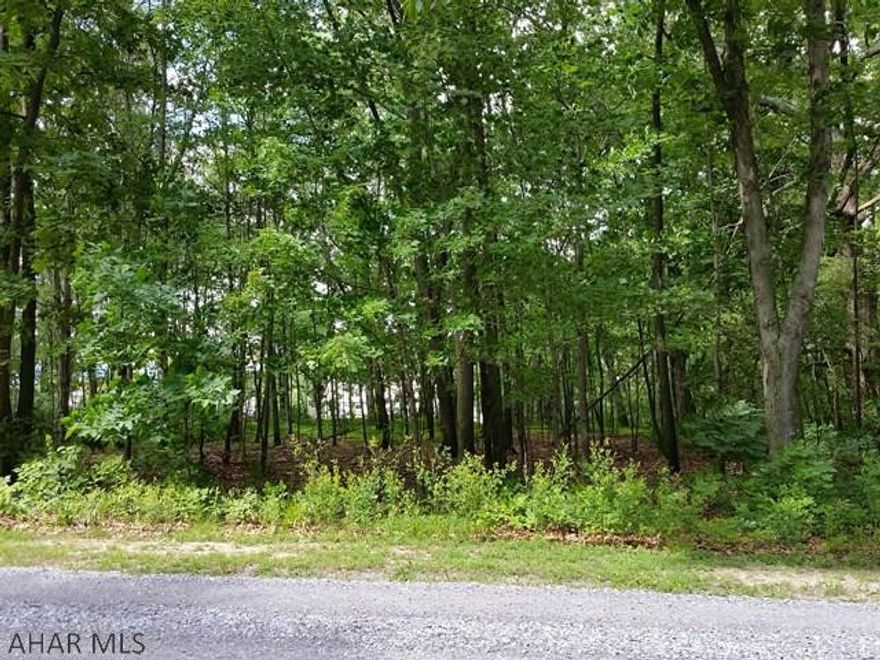 Beautiful country setting for your new home! Public water & electric available, previously perked for sand mound. 1 Acre Lot. J-391