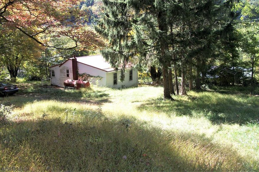 Do you love the outdoors and are looking for a weekend getaway to hike, bike, hunt, fish or kayak? For less than the cost of most campers, you can get this cozy cabin with close to an acre of land, a well, septic and electric. It's located close to thousands of acres of State Game Lands, the Mid-State Trail, the Raystown Branch of the Juniata River, Yellow Creek and Shawnee State Park. With a bit of TLC, this cozy, solidly built cabin would make a nice weekend retreat or could be used to generate income as a rental unit.  It is conveniently located within a 15 minute drive of downtown Bedford, the Bedford Springs, Interstates 99 and 70 and the PA Turnpike. Come take a look, this may be the place you are looking for.