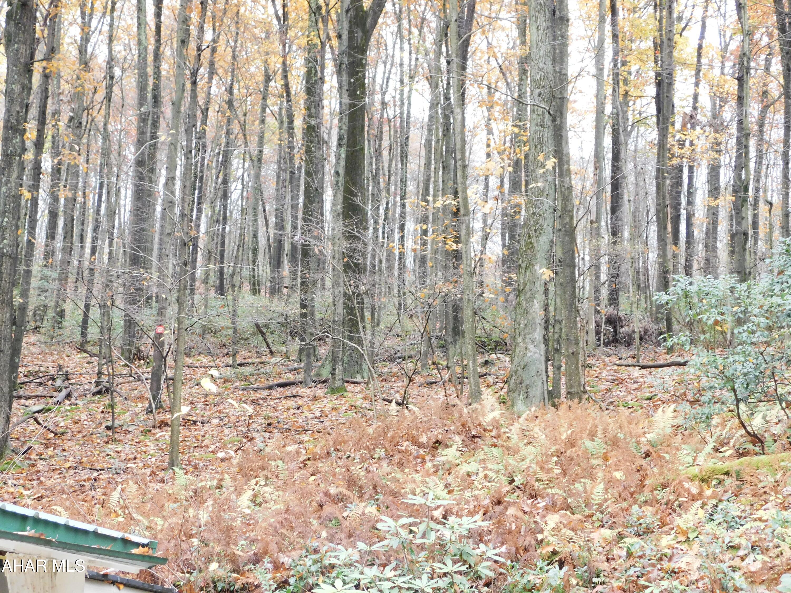 Sinking Valley - Residential