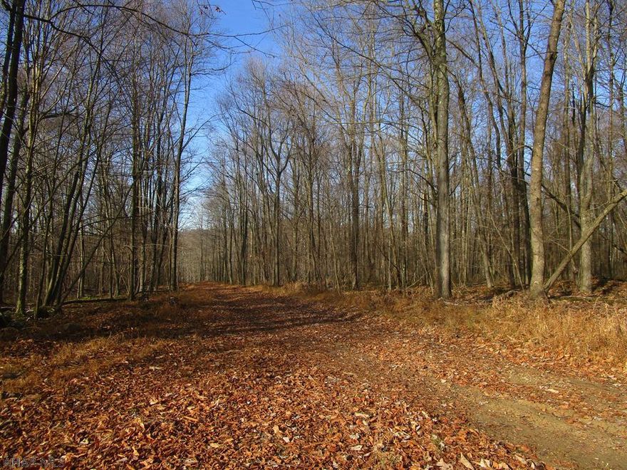 134 Acres +/- of wooded land with right of way access. Young growth of timber. Gas wells on site but not owned by sellers. Nice tram roads for easy access. Good hunting property. Small stream on site. Hard to find a nice wooded property like this reasonably priced.