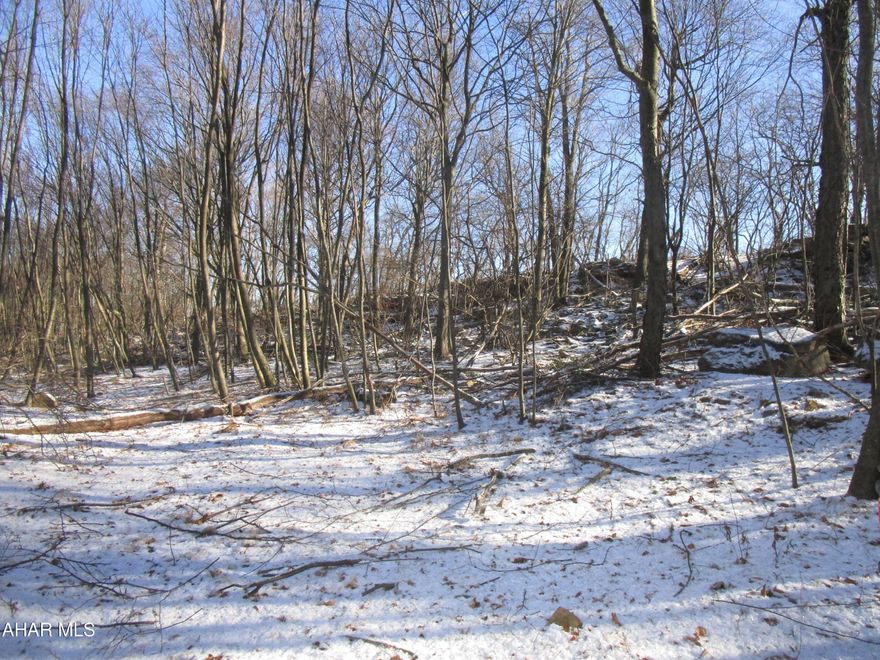 Hunters & nature enthusiasts!   Borders 7,500+ acres S.G.L  # 97 + other S.G.L.. In beautiful Friend's Cove on west face & summit of Tussey Mountain. Timbered 1992+-.   No electric (closest neighbor is 442 Hummingbird Ln.)  Hummingbird Ln. is shared, right-of-way.  Users of right-of-way to share proportionately in upkeep. Bridge weight restrictions apply (newer concrete bridge now intact). 'In the event anyone damages the bridge or tile will be responsible to replace this structure as may be required'.  In Clean & Green.