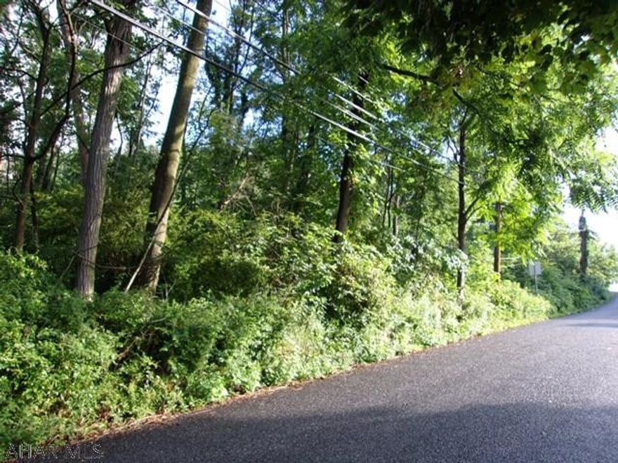 Beautiful 3+ acre building lot in the City of Altoona.  Great for building your dream home.  This also includes 1115-17 48th Street (.28 acres).  Sewer is approximately 240' from corner of site.  According to People's Natural Gas, gas is available to site - buyer will need to verify.  Site does have some designated wetlands but still has plenty of room to build house; wetland survey was done several years ago as owner had proposed building townhouses on the site; buyer will need to verify necessary steps with the City of Altoona regarding building on site due to wetlands.  Purchaser will need to satisfy themselves regarding wetlands.  Estimated taxes for 2023 are $918.00 - buyer to verify.  Sewer Extension Information Attached.