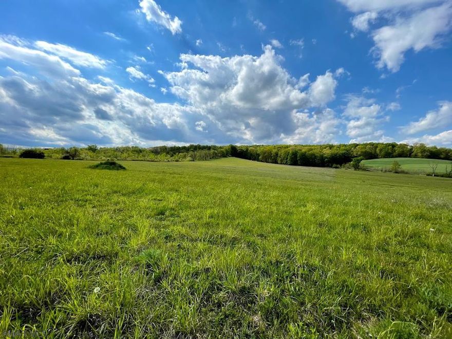 Here's your chance to own more than 12 and a half acres with a gorgeous view in West Saint Clair township! With 2 sheds already on this property. Located only 15 minutes away from Shawnee State Park to the south, 15 minutes from Blue Knob State Park to the North, Gallitzin State Park less than 10 miles to the East, and only 4 miles from Chestnut Ridge High School!   *City sewer available