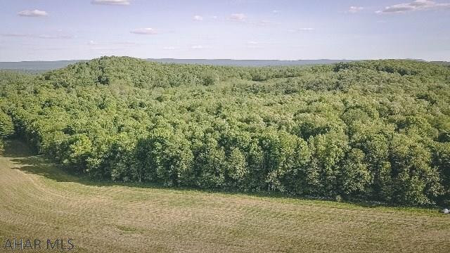 Sunken Hollow - Land