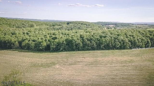 Sunken Hollow - Land