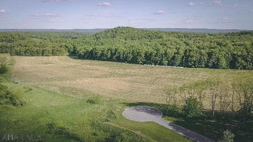 Welcome Home to Sunken Hollow.  Build your dream home or your very own horse ranch on this breathtaking building lot.   Your choice of builder domestic & perc tested for in-ground septic systems.  Centrally located between State College & Altoona, easy commute in either direction.  Please note that the taxes are estimated & to be determined by the Centre County Assessment Office.  Buyer is responsible for applying for Clean & Green.