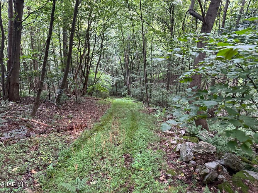 84.92 acres of fully wooded ground in Southern Bedford County.  New slate road gets you access to the main mountain trails  Recently surveyed with clear markings.  Trail access to and on the property taking you throughout the property.  Source water mountain spring located near the top half of the property.   Fantastic Hunting!