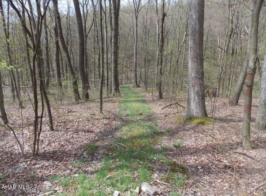 Great opportunity to own this 7+ acre property located in Bellwood-Antis School District.  Property has a small, peaceful stream running through it. Recent Perc Test, Land Survey and Electrical quote on file. Electric grants may be available.