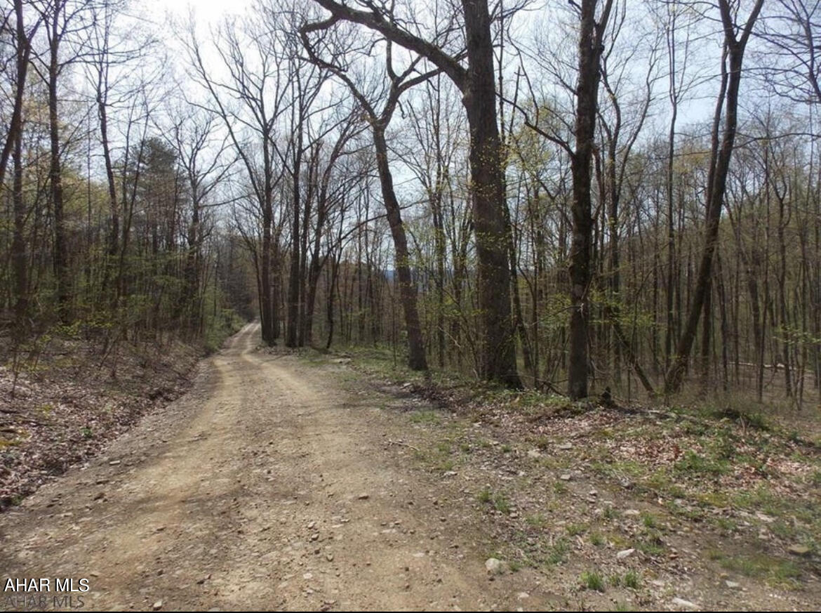 None - Commercial Sale