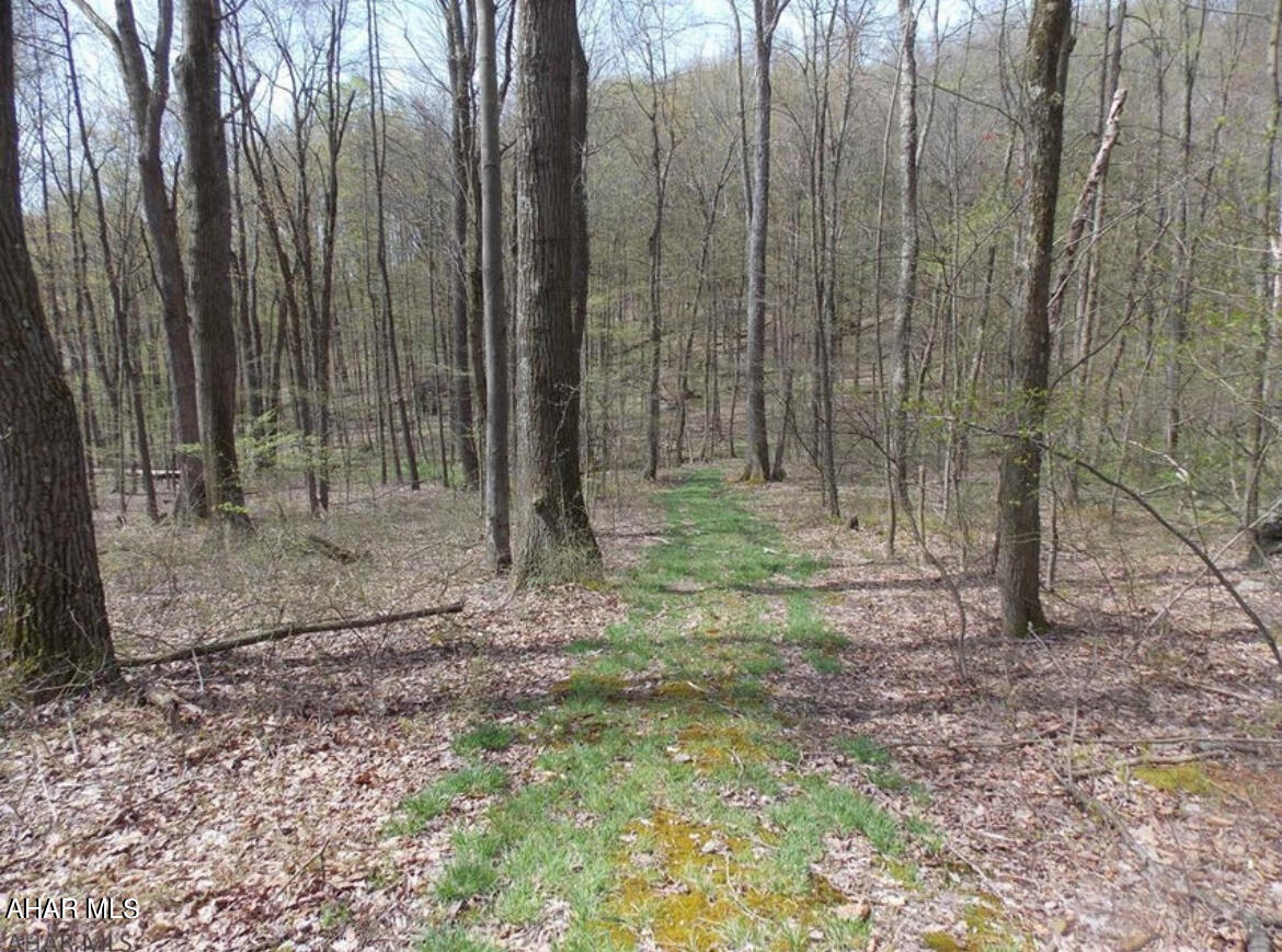 None - Commercial Sale