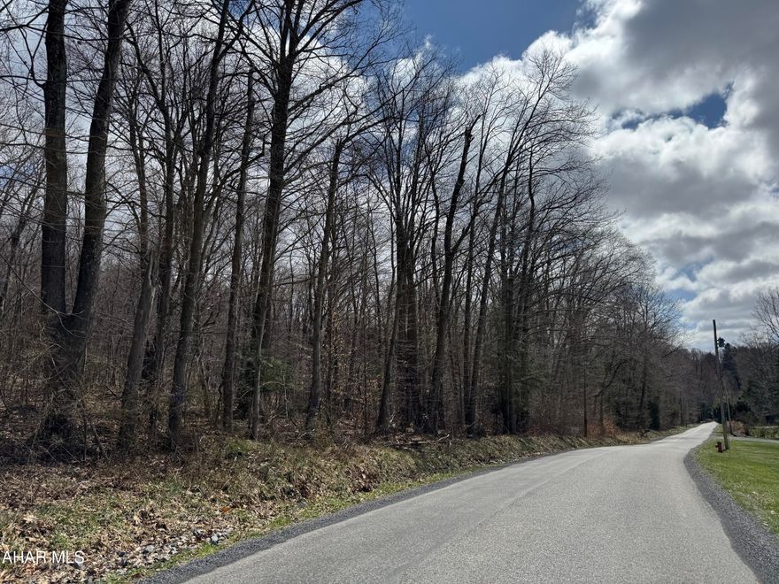 Country setting - 12 acres wooded land with good hard road frontage. Beautiful future homesite with on lot sewage approved. Will need to go through subdivision approval process. Acreage may be able to be adjusted somewhat to your needs. Hard to find acreage in Cambria Heights School District. 5 minutes from Prince Gallitzin State Park and Rock Run Recreation Area!