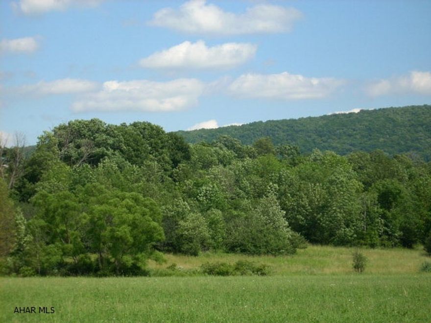 No sign at property. Call agent prior to showing property. This estate is selling approx. 14 acres of vacant land. The sale would be contingent on Antis twp. approving a minor subdivision & utility easements to property water, sewer, elec., etc.