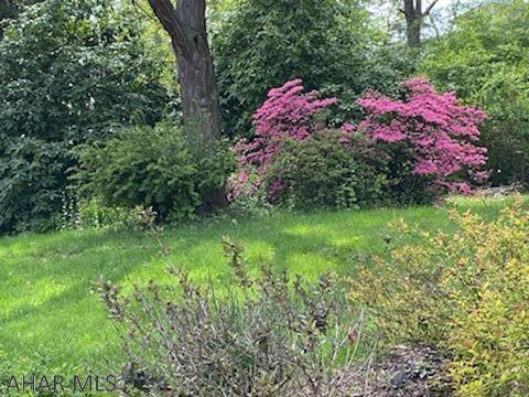 Highland Park - Residential