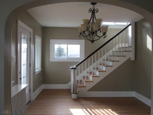 Calvert Hills - Residential