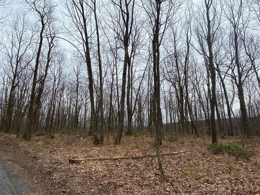 Ready to build in country seclusion? This is it! Plenty of flat space to start your dream home. Over six acres of a country dream. Plentiful road frontage for easy access. Off the beaten path but still close to main roads. Deer and wildlife abound with amazing mountain views. Would make an awesome location for a cabin or hunting spot as well. Don't miss this one.