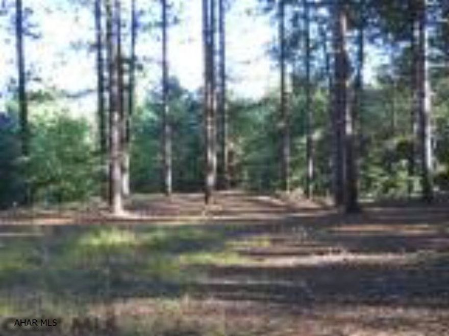 Privacy in the woods...Located just outside of Philipsburg, this 19 acre wooded lot could be a perfect place of seclusion for a single family home or recreational property. The driveway leads to an open area with a pavilion. The oil, gas and mineral rights do transfer. Come explore the possibilities!