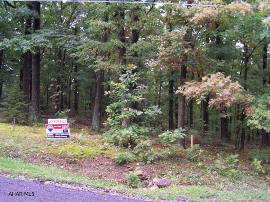 Mature 1.5 acre wooded lot in Grandview Development, city water & sewer easement already in place, beautiful setting, close to campus. Use Vickers Dr. to locate on googlr map.