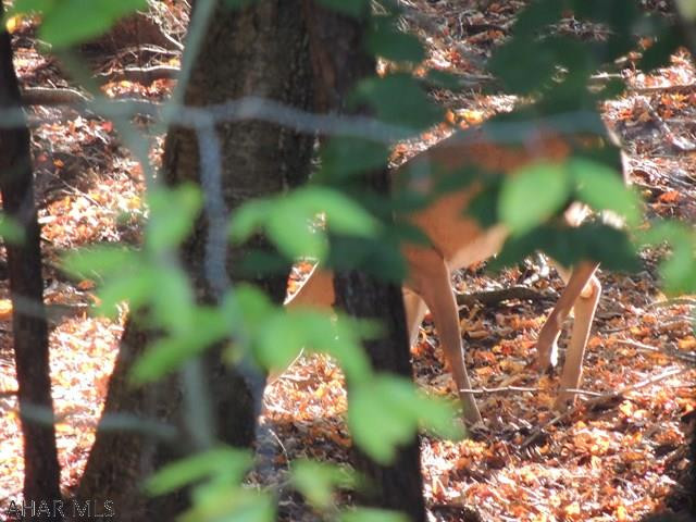 Glendale Yearound - Residential