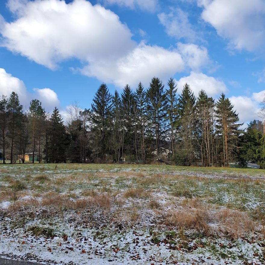 Bellwood SD, Antis-Township.  Public sewet on lot, private well needs to be reconstituted.  Ready to build on!