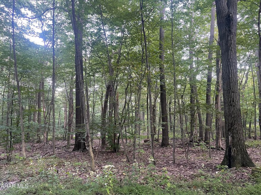 Gorgeous wooded lot located in the Spruce Knob Association. Direct access to Blue Knob's best hiking/mountain biking/xc skiing trails. Ski resort and BK Clubhouse is right up the road. HOA includes tennis courts, outdoor pool, road maintenance, and garbage disposal. Perfect opportunity to build a mountain home, all utilities available and ready to hook up. Call listing agent for more details!