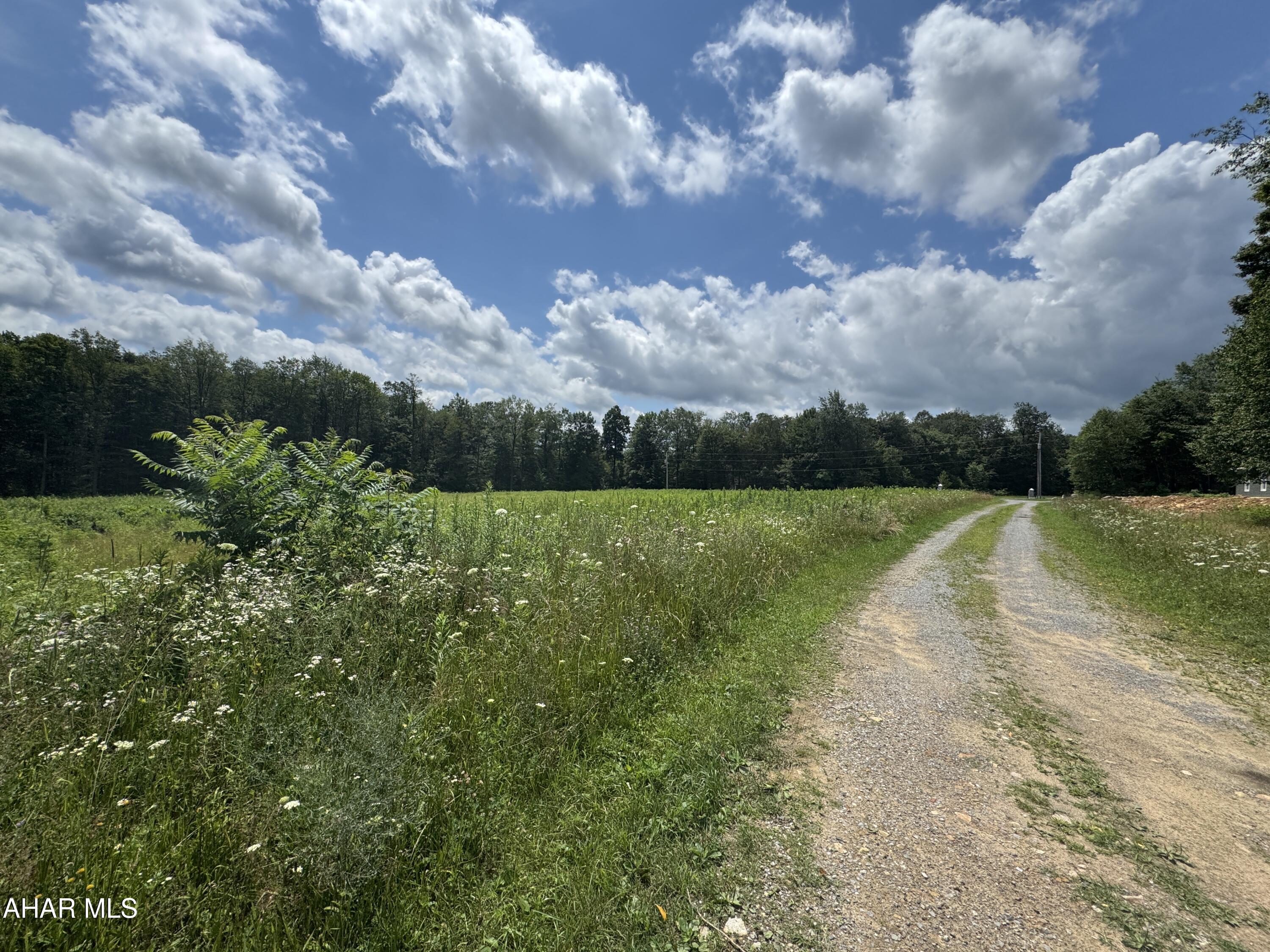 None - Commercial Sale