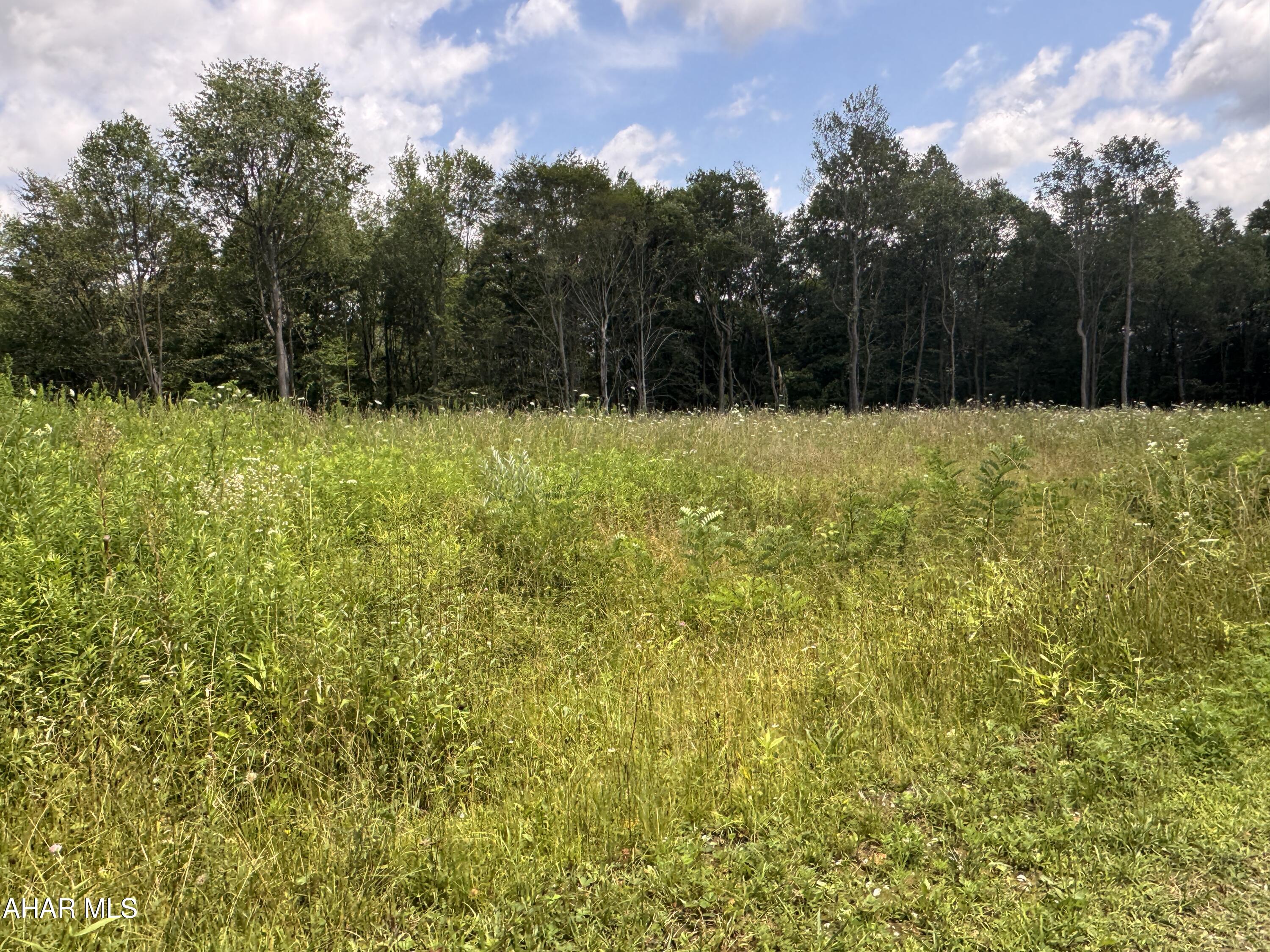 None - Commercial Sale