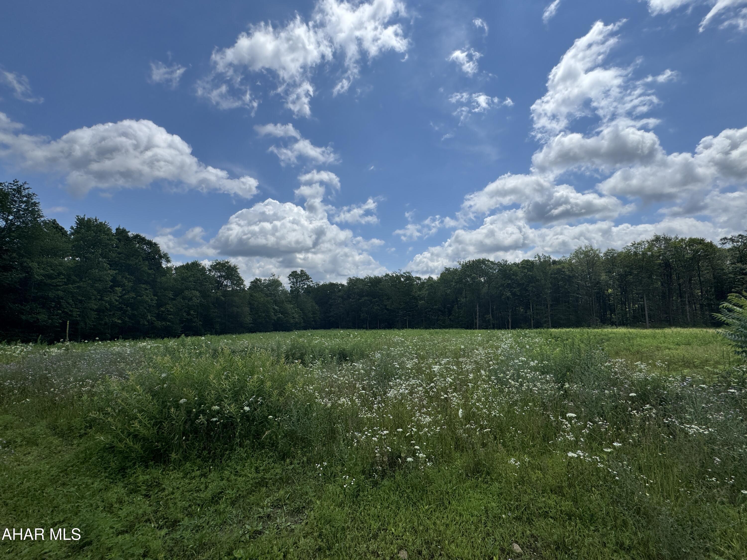 None - Commercial Sale