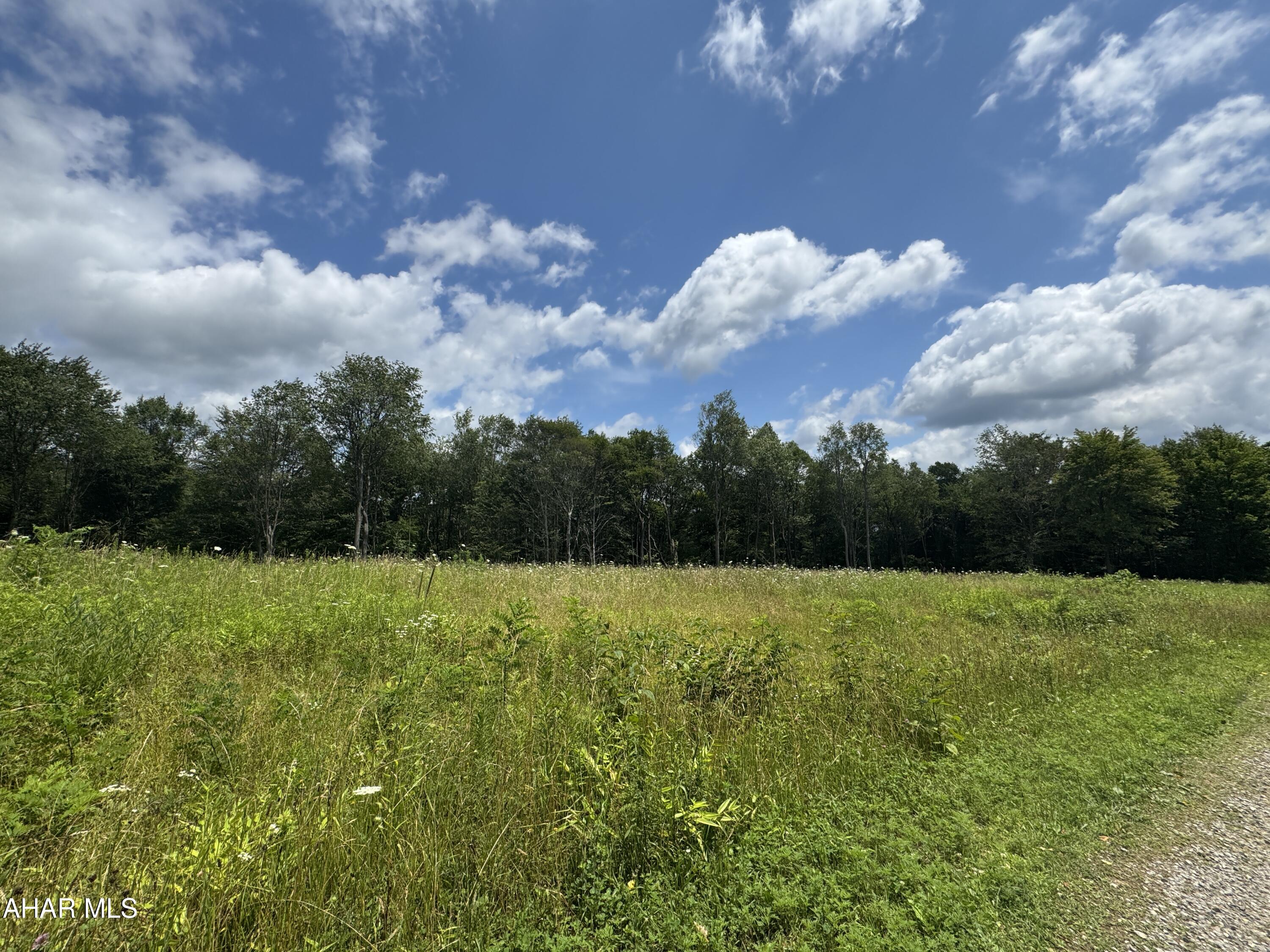 None - Commercial Sale