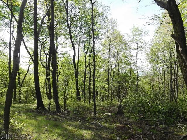 Spruce Hill Estates - Land