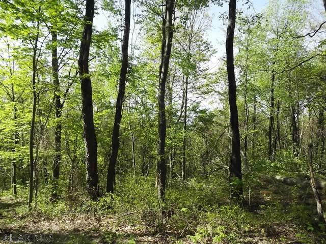 Spruce Hill Estates - Land