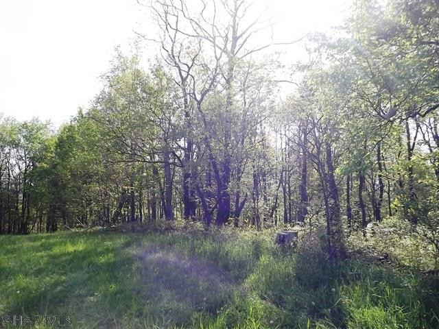 Spruce Hill Estates - Land