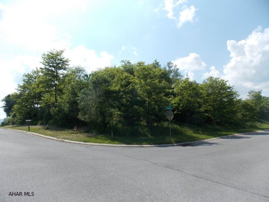 Corner of Hunters Pass and Red Fox Dr. great view from every side. Priced to sell at $69,900  Buyer to reimburse Seller $1,400 water tap fee at closing.