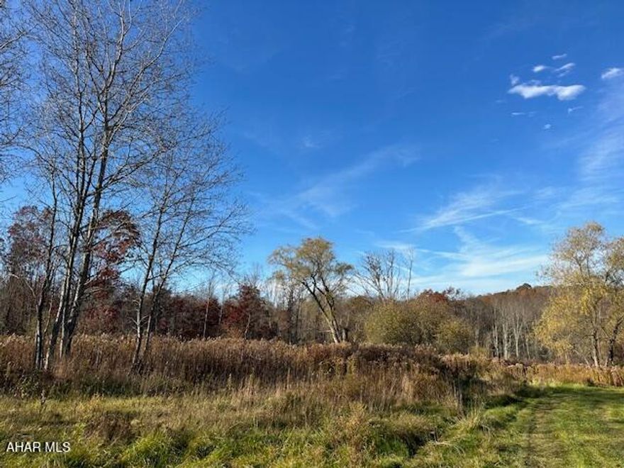 Nice level 58.9 Acres to build you dream home. There is a spring on the property that supplied the original house with water. There is a structure on the property, but it has no value. Structure on the property is not safe, please do not enter. Property was recently enrolled in Clean and Green. Call today to see this property.